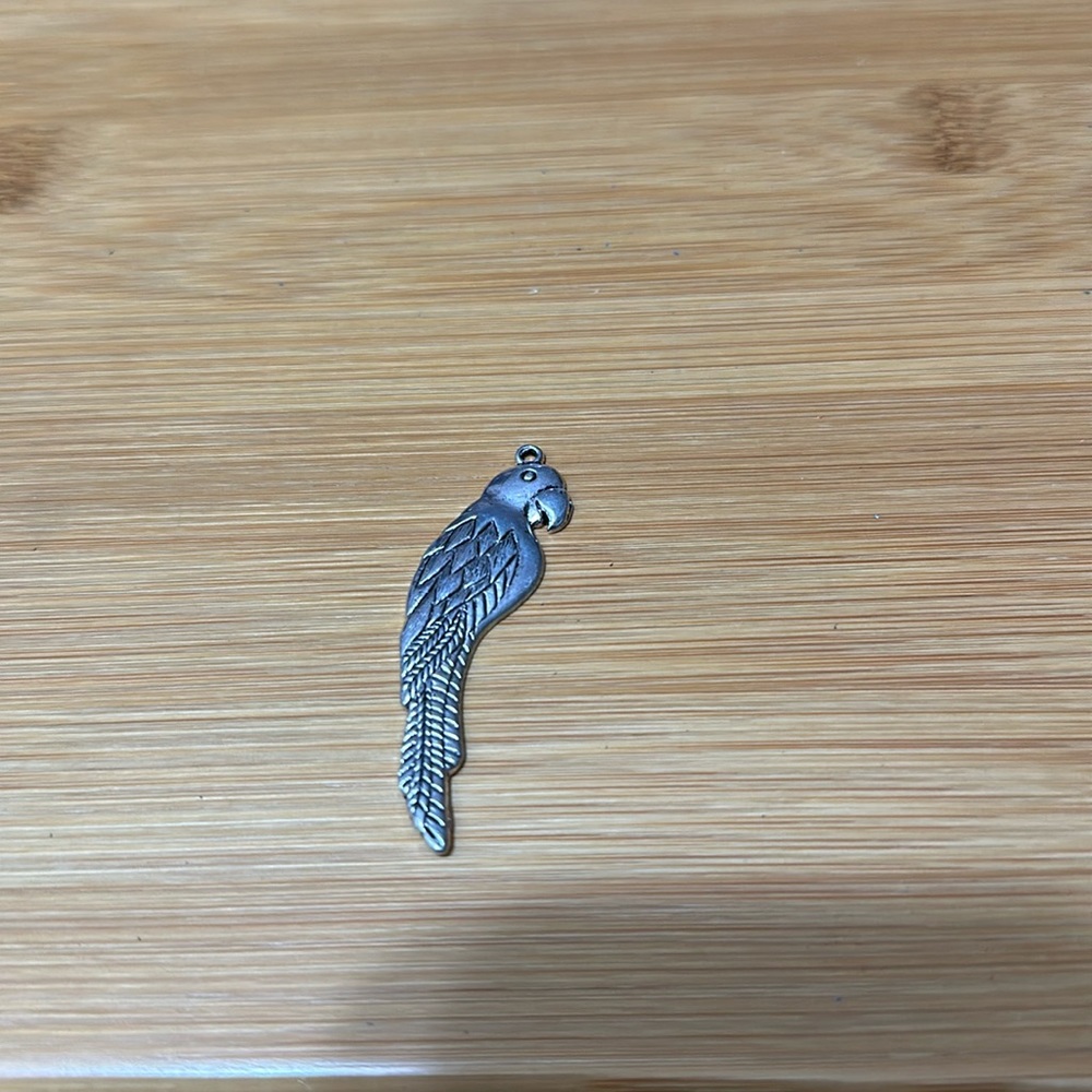 Large Silver 🦜 pendant
